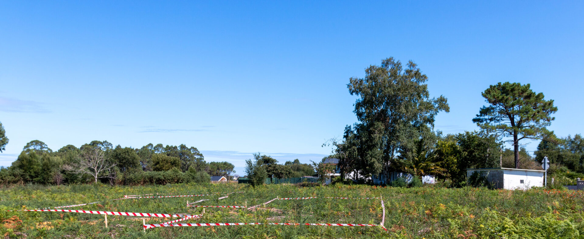 elegir el mejor terreno
